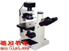 37XB倒置生物显微镜