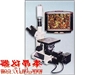 4XC-V图像金相显微镜